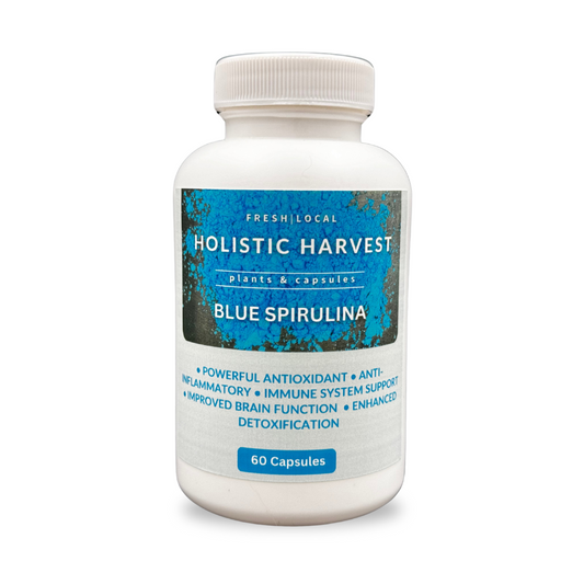 Blue Spirulina Powder Capsules